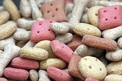 raw dog food diet recipe